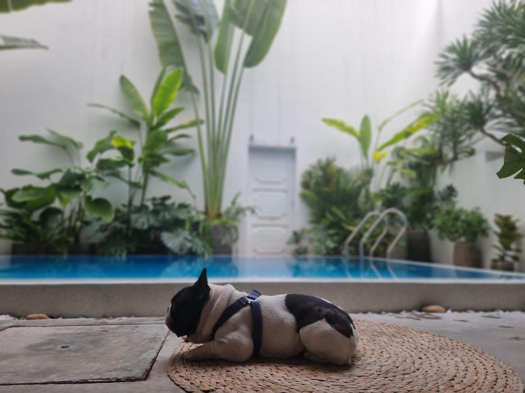 Lada'S House Da Nang Daire Dış mekan fotoğraf