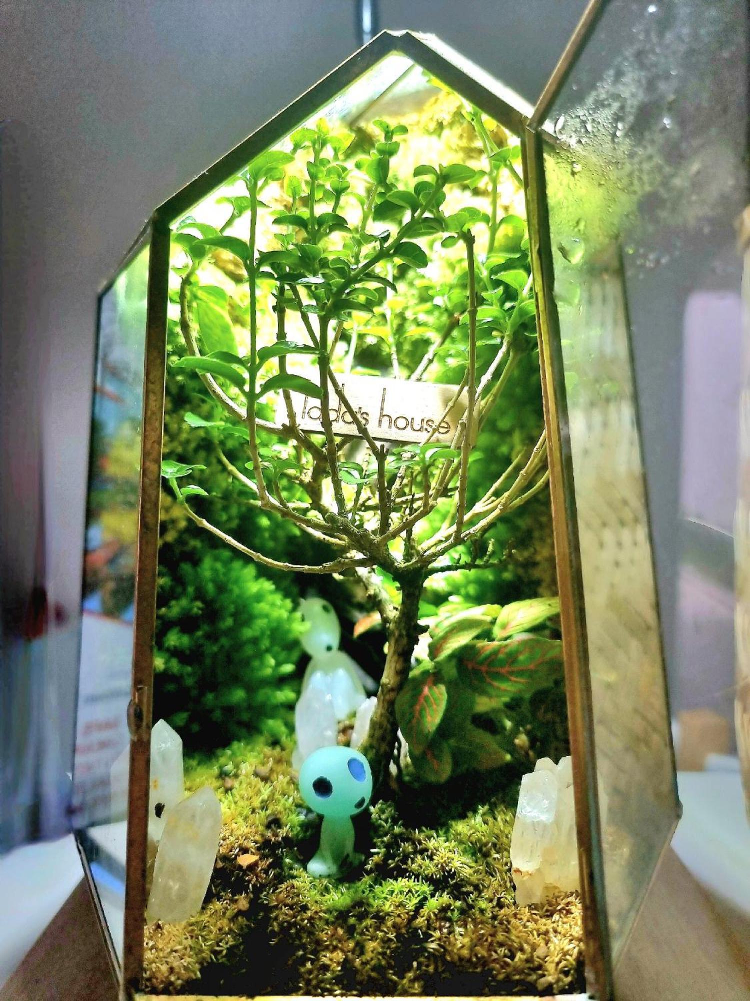 Lada'S House Da Nang Daire Dış mekan fotoğraf