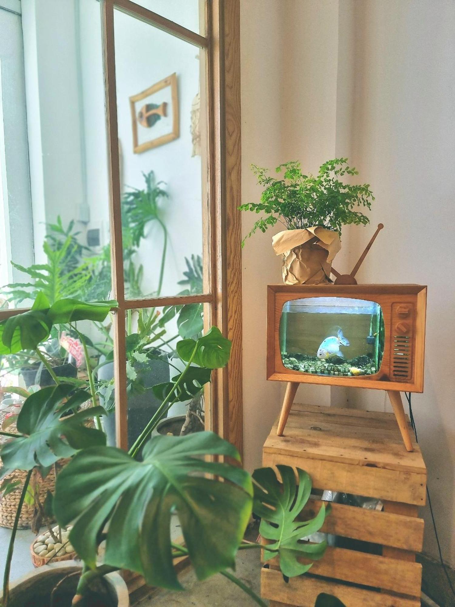 Lada'S House Da Nang Daire Dış mekan fotoğraf